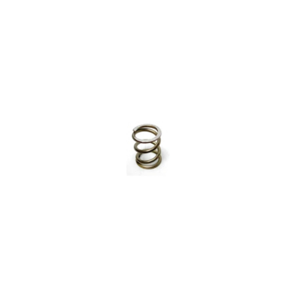 Ascaso Steam/Water Outlet TAP Spring
